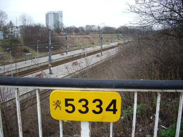 IMGP2929n148brug5334