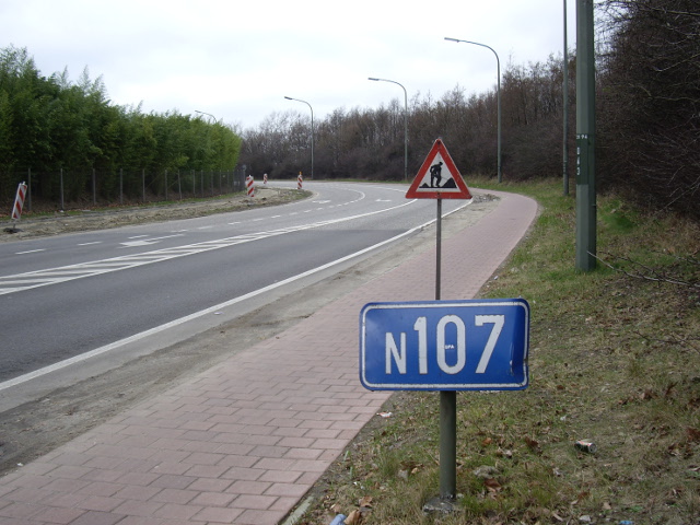 IMGP2938n107