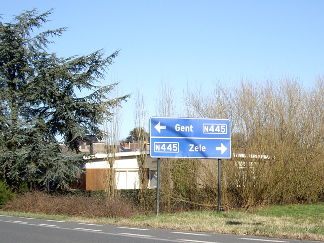 IMGP3255n445