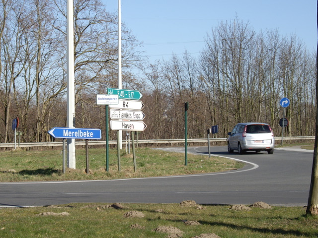 IMGP3261r4e40e17guldensporen