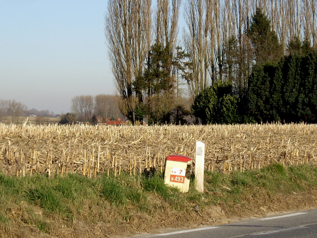 IMGP3317n493