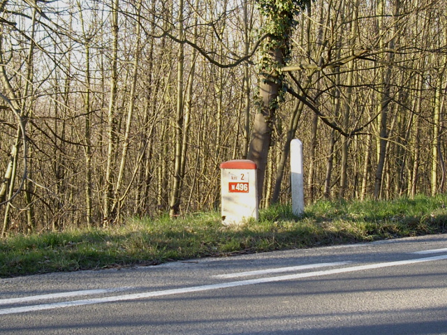 IMGP3319n496