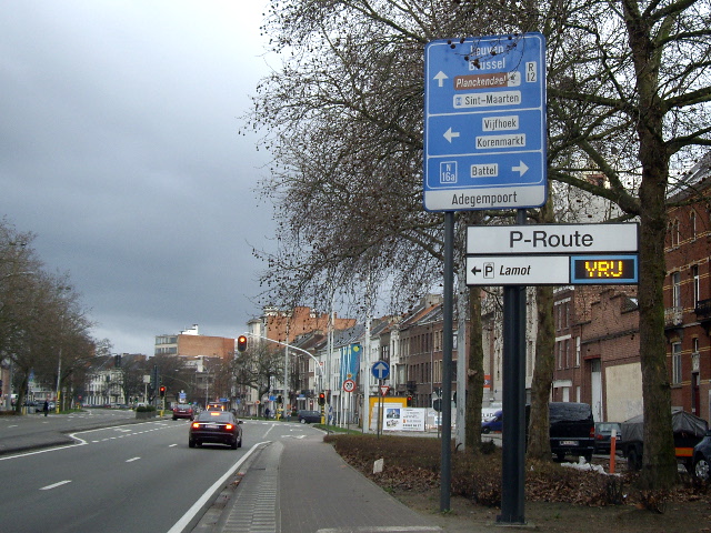 IMGP3566r12n16a