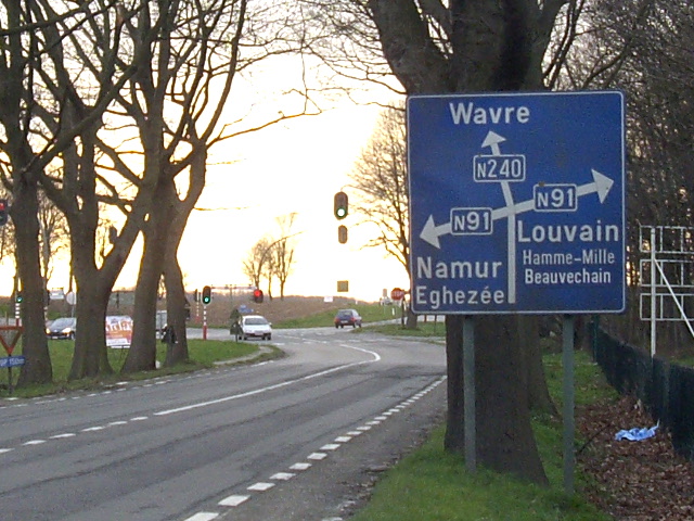 IMGP3834n240n91