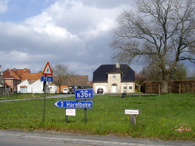 IMGP4121n36e
