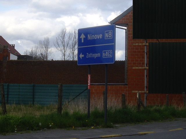 IMGP4214n8n462
