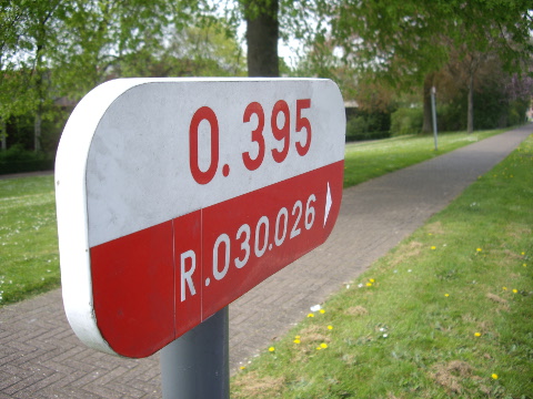 IMGP4390r30