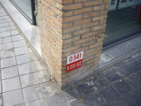 IMGP4391r30