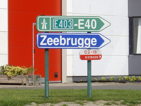 IMGP4400n339