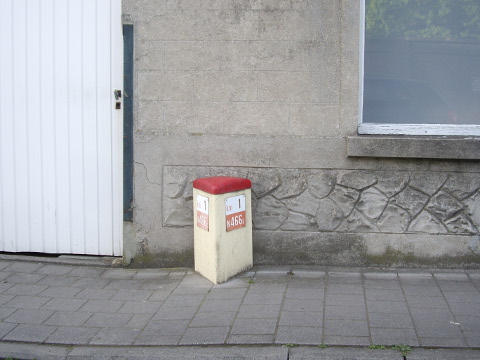 IMGP4431n466c