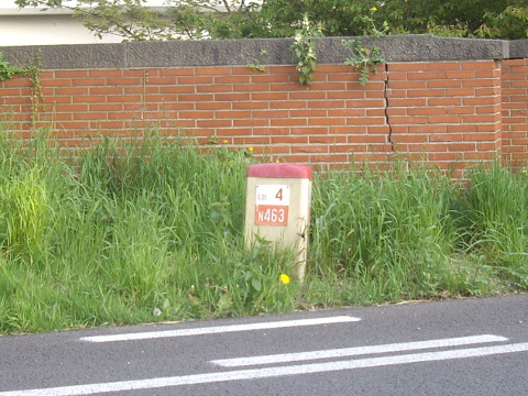 IMGP4436n463