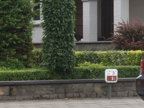 IMGP5916n3e