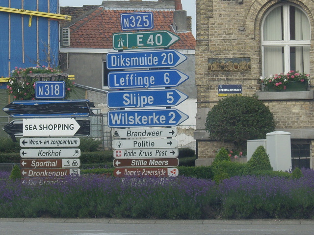 IMGP6504n325n318