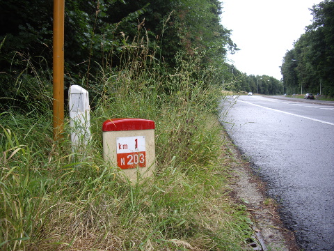 IMGP7002n203