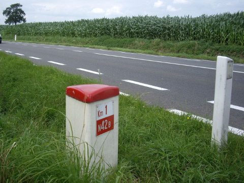 IMGP7956n42b