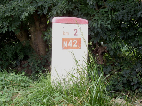 IMGP7961n42c