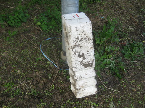 IMG_8004n774d