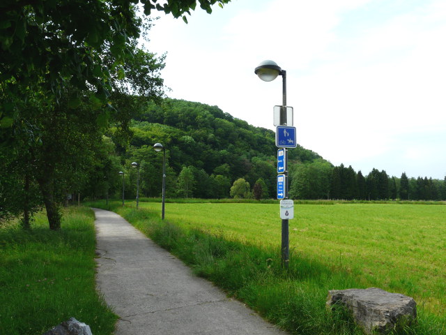 P1060485t800