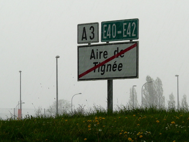 P1150062a3e40e42tignee