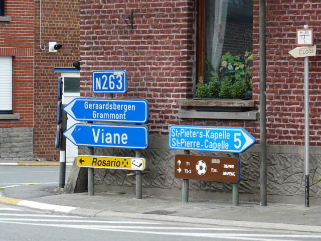 P1150568n263