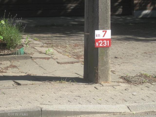 3894n231