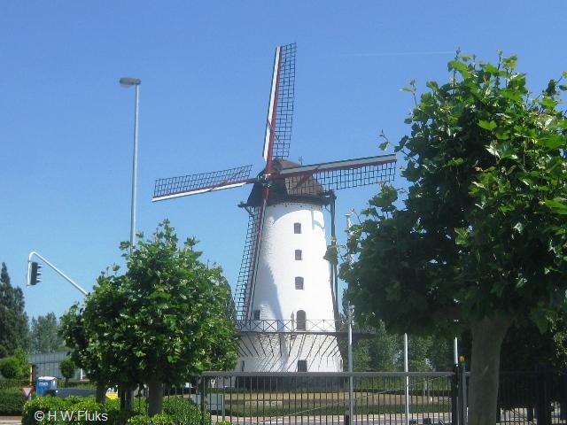 3944t304molen