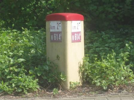 IMG_3145n614a