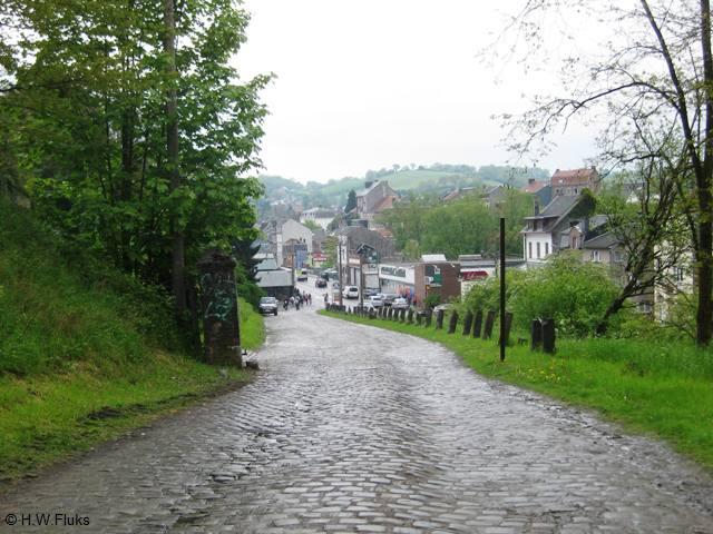 7906n61edolhain
