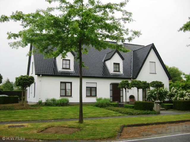 8024n36cizegem