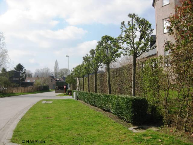 7069n442auitbergen
