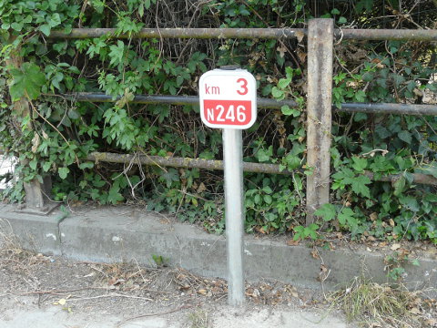 P1170444n246