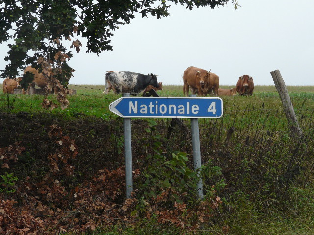 P1190265n4nationale4