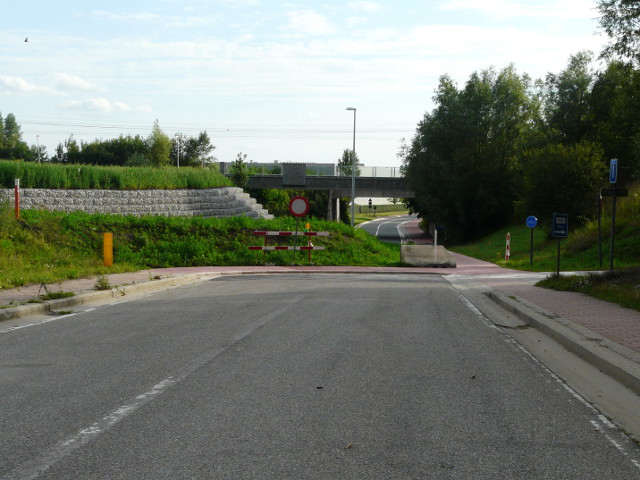 P1190412n171a