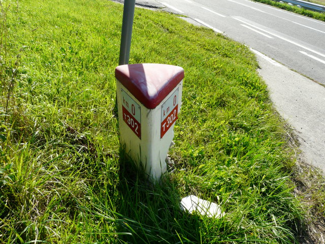 P1190503t302