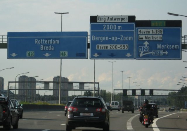 n129_dittho