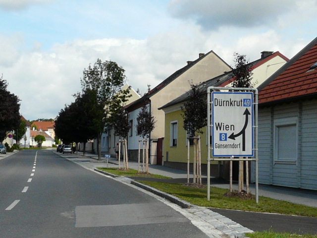 P1260437x8x49