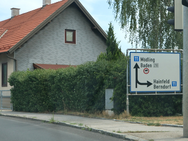 IMG_4484x11x210