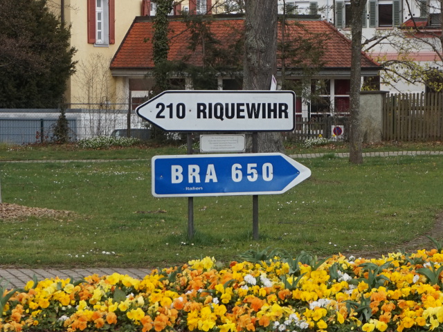 DSC07635weilderstadtzusters