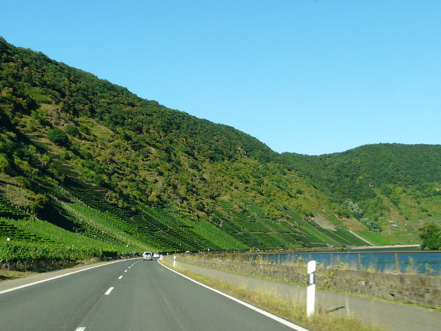 P1270176b49