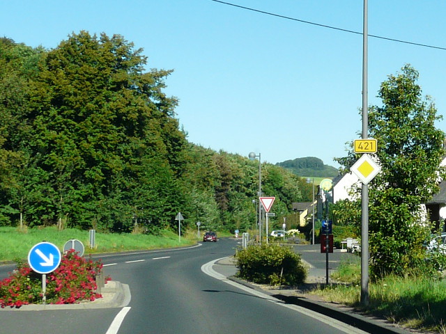 P1270217b421