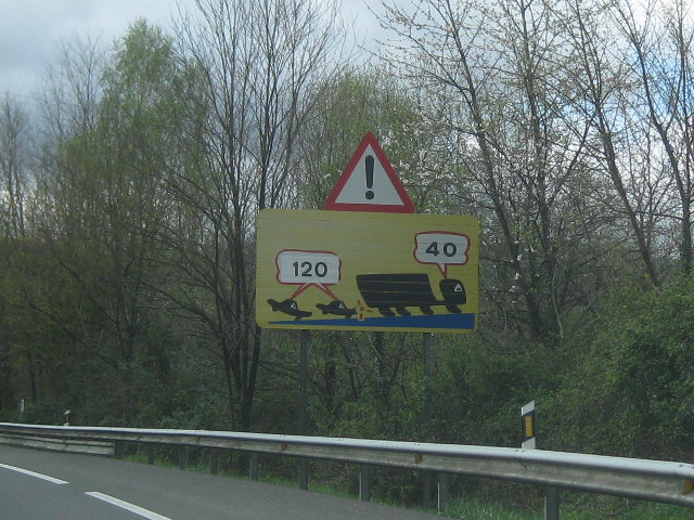 IMG_5179a15