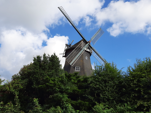 20240728_182602meldorf