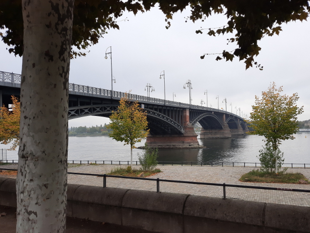 20251013_120540mainz