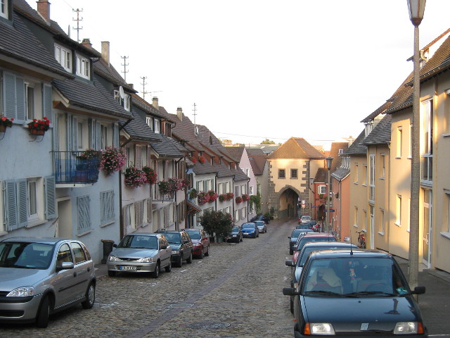 IMG_4656breisachamrhein