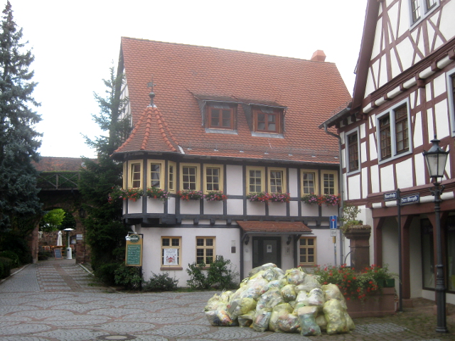 IMG_4731michelstadt