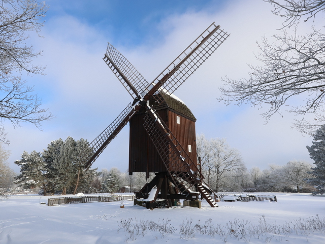 IMG_8655riddagshausen