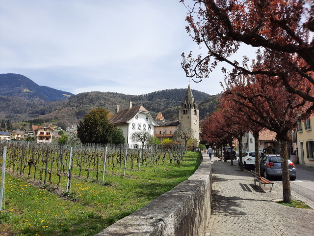 20220412_150254aigle