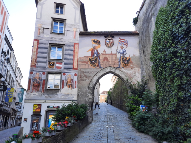 20240519_182227steyr