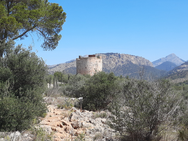 20250528_114956capandritxol