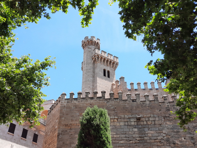 20250531_134751palma